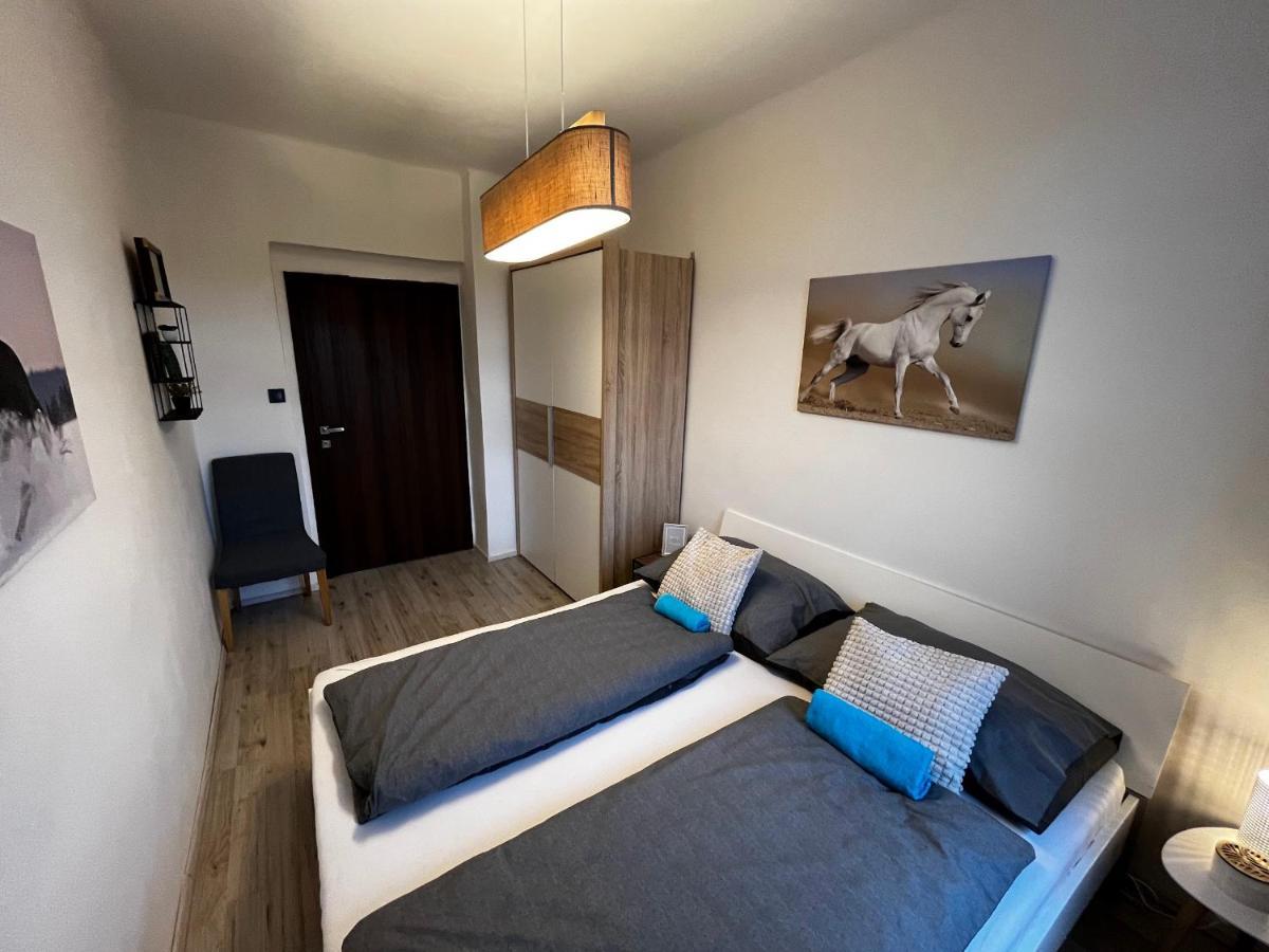 Large 3 Bedroom Apartment With City Skyline View Karlovy Vary Exterior photo